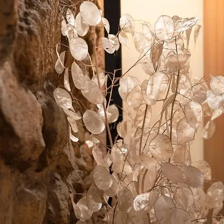 Antico Convento St. Peter Design شقة *